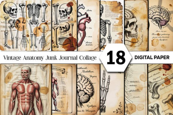 Exploring Vintage Anatomy Junk Journal Collage